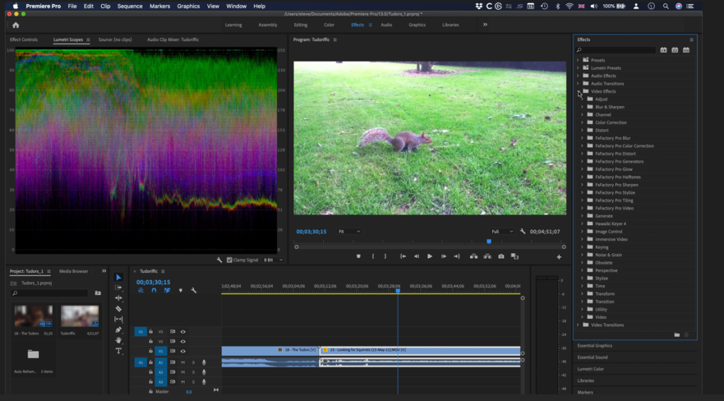 Adobe Premiere Pro user interface